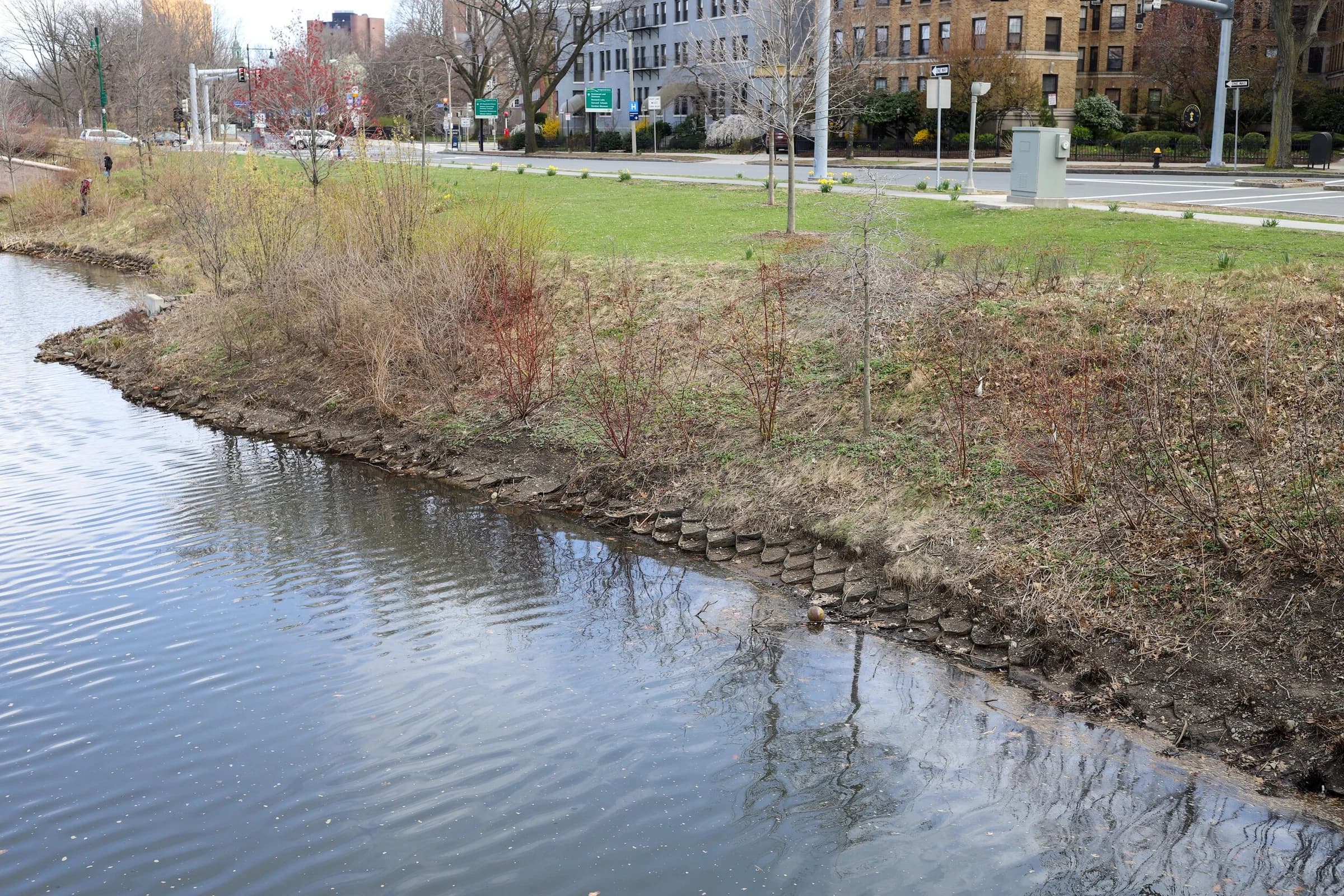 Riparian Erosion Control Embankment